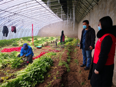 產業與保險深度融合 人保與首農共抗新冠疫情的新模式落地